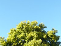 Vinhais-7,8-03-14 (64)